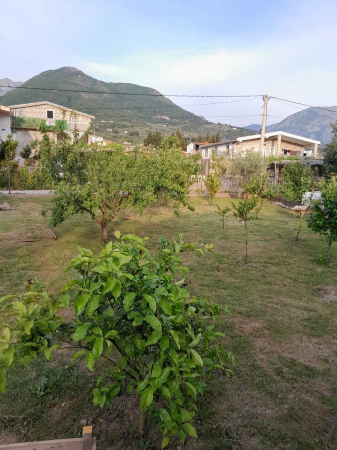 Gallery image 15