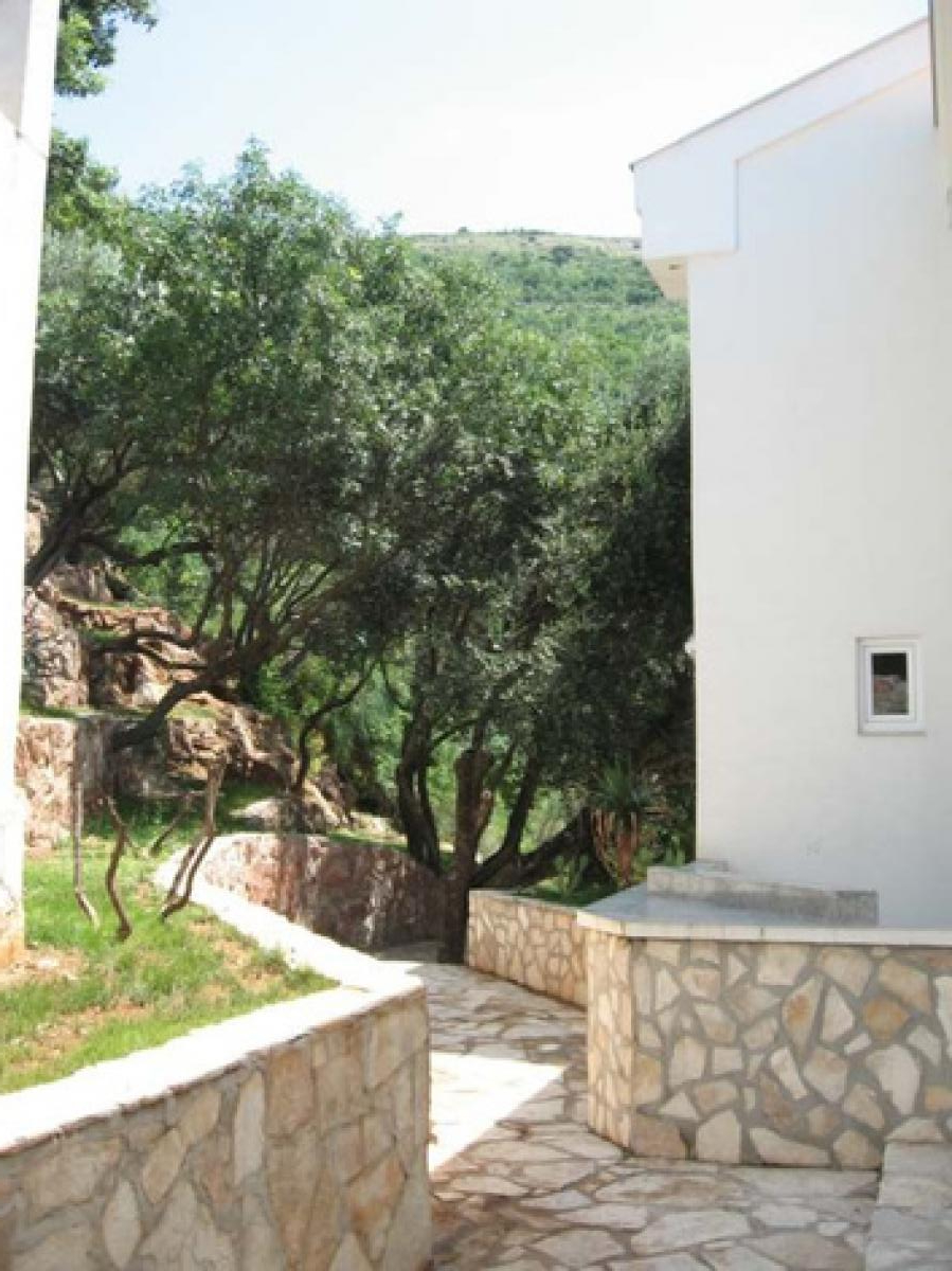 Gallery image 16
