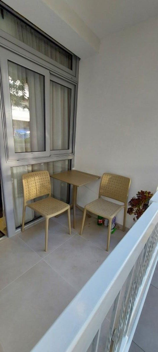 Gallery image 6