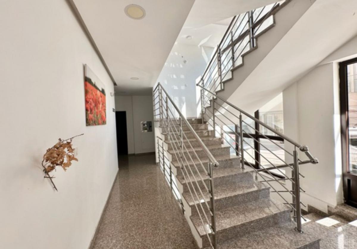 Gallery image 11