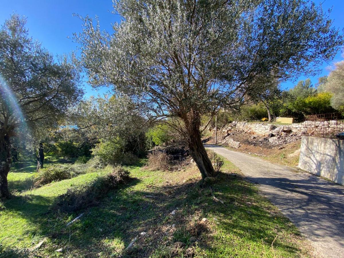 Gallery image 13
