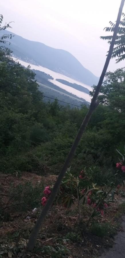 Gallery image 14