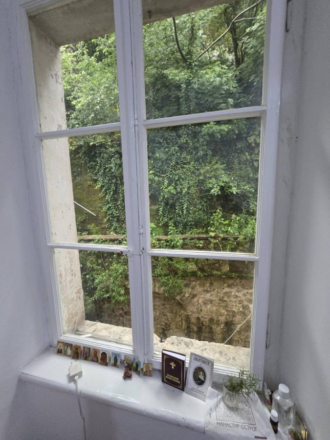 Gallery image 9