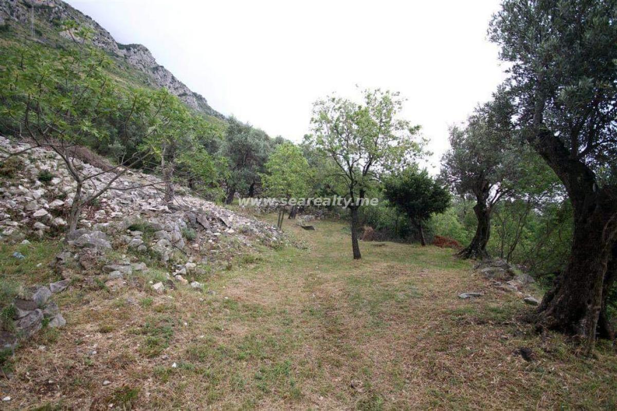 Gallery image 13