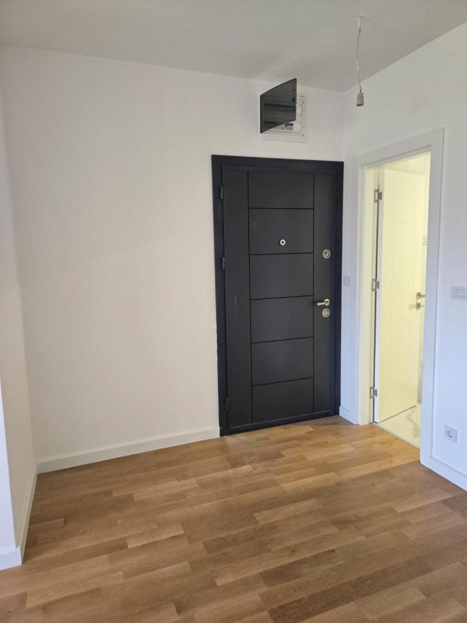 Gallery image 7