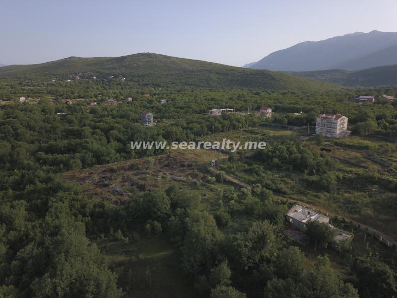 Gallery image 13