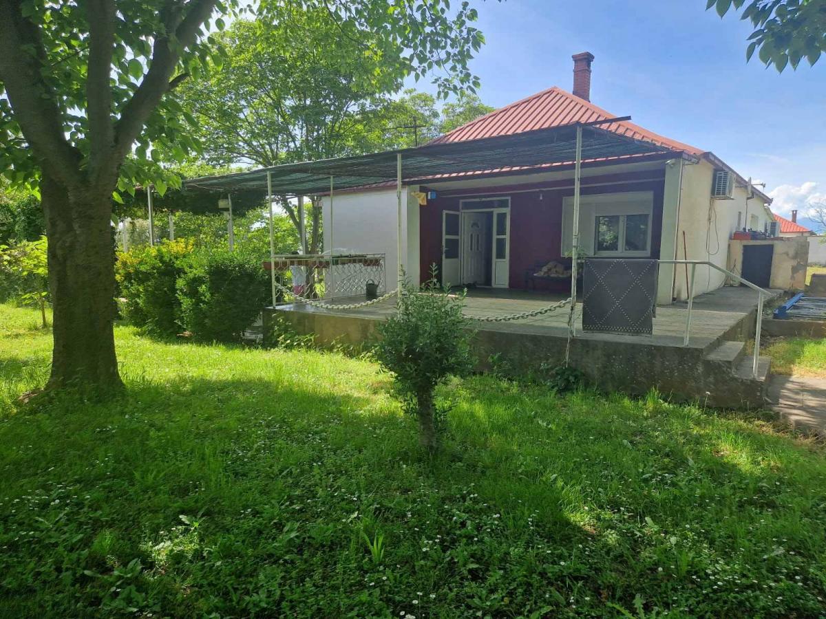 Gallery image 1