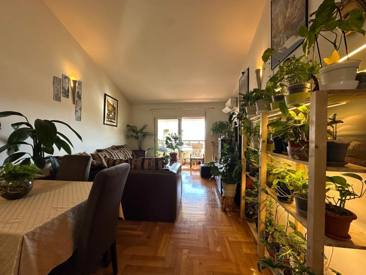 Gallery image 9