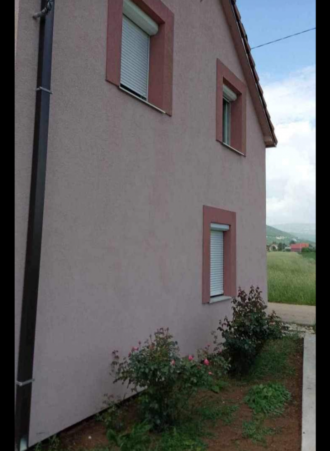 Gallery image 16