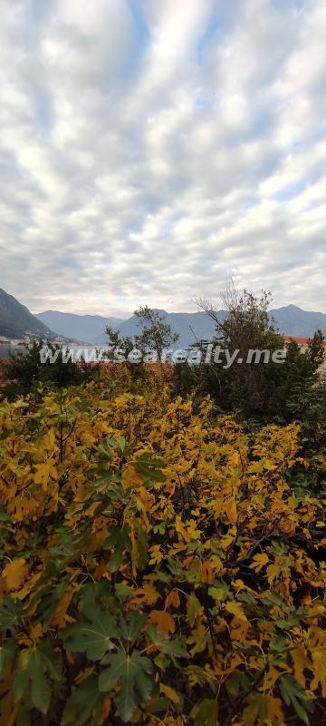 Gallery image 24