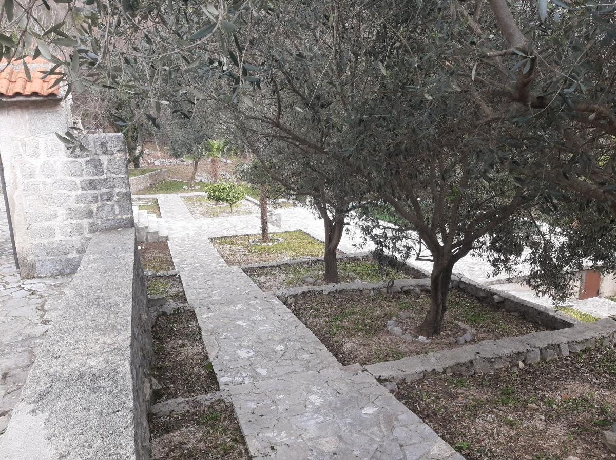 Gallery image 12