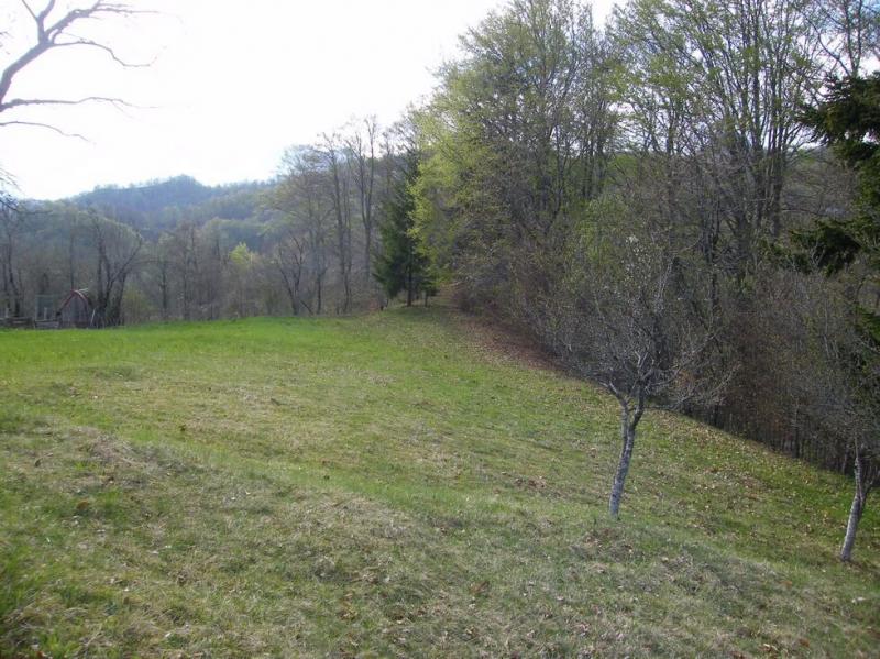 Gallery image 9