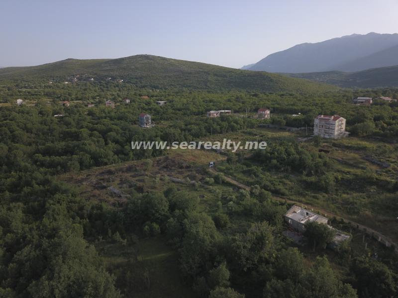 Gallery image 25