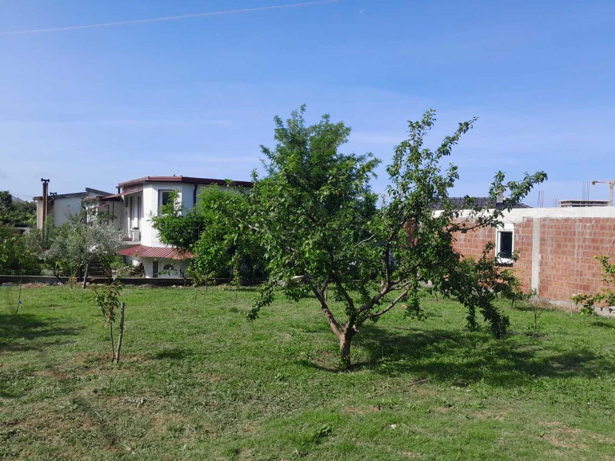 Gallery image 11