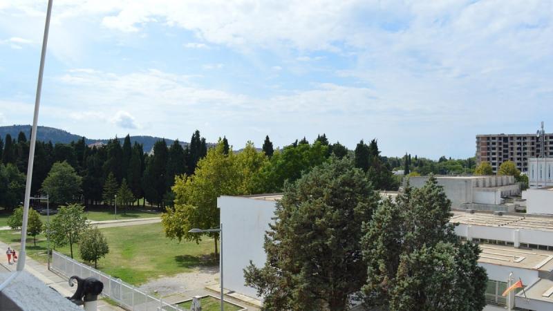 Gallery image 9