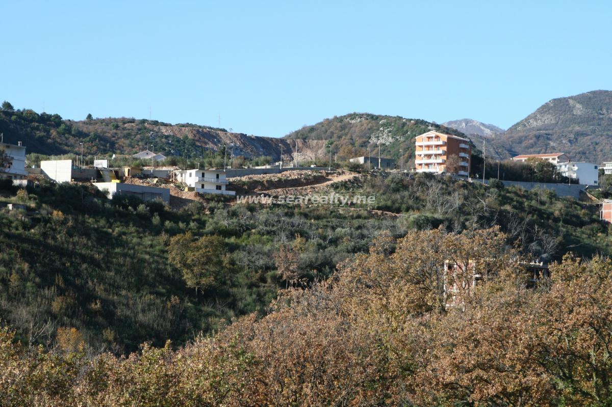 Gallery image 11