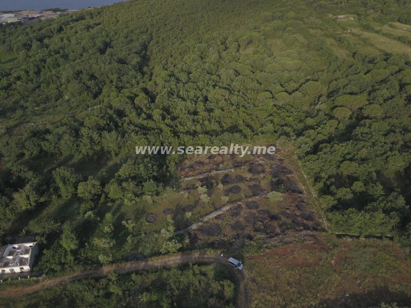 Gallery image 15