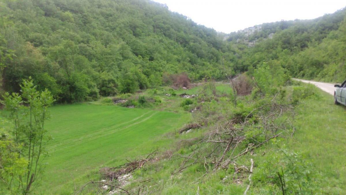 Gallery image 7