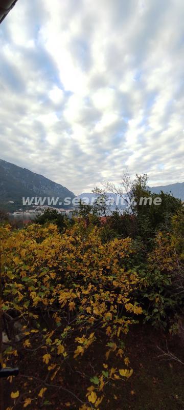 Gallery image 33