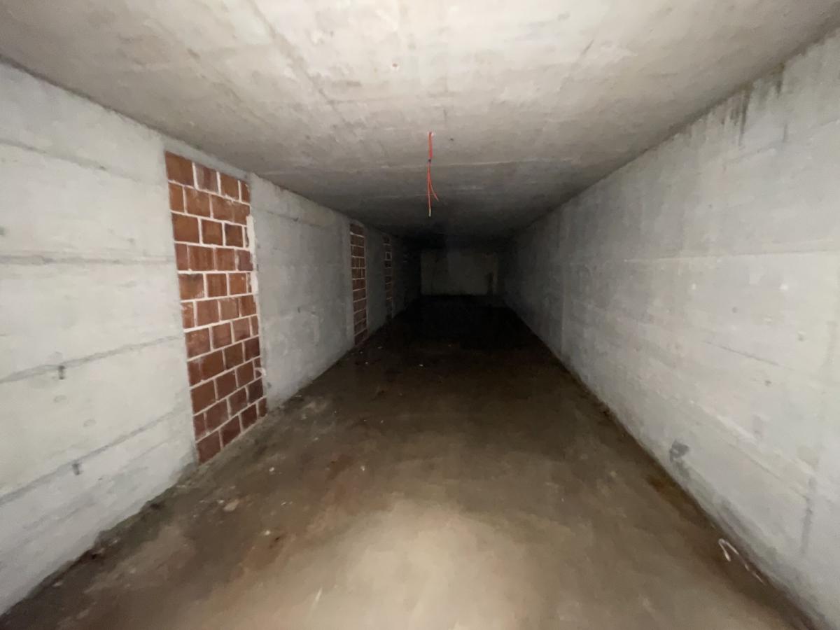 Gallery image 6
