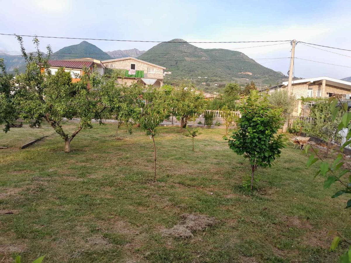 Gallery image 14