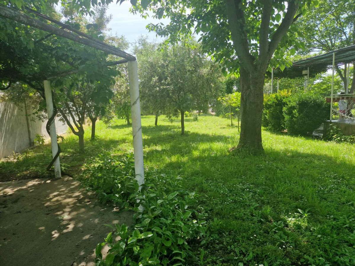 Gallery image 9