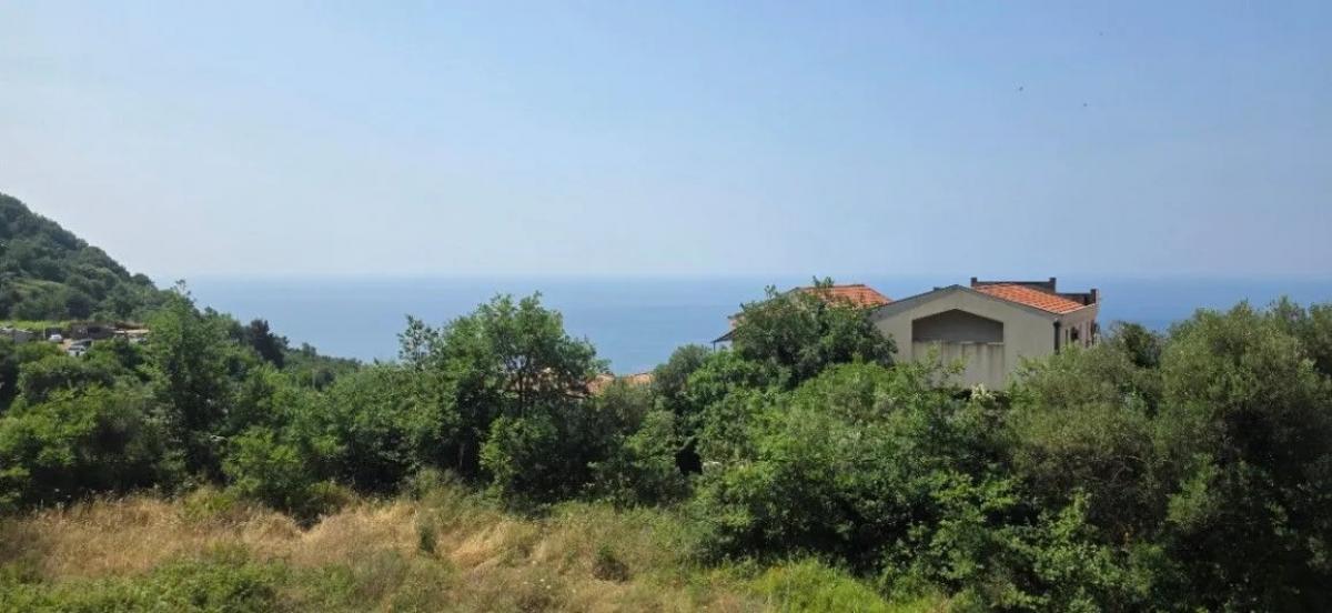 Gallery image 10