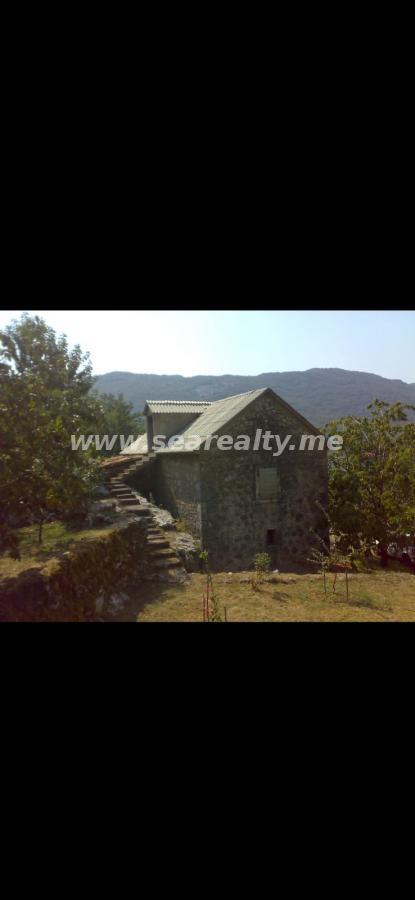 Gallery image 1