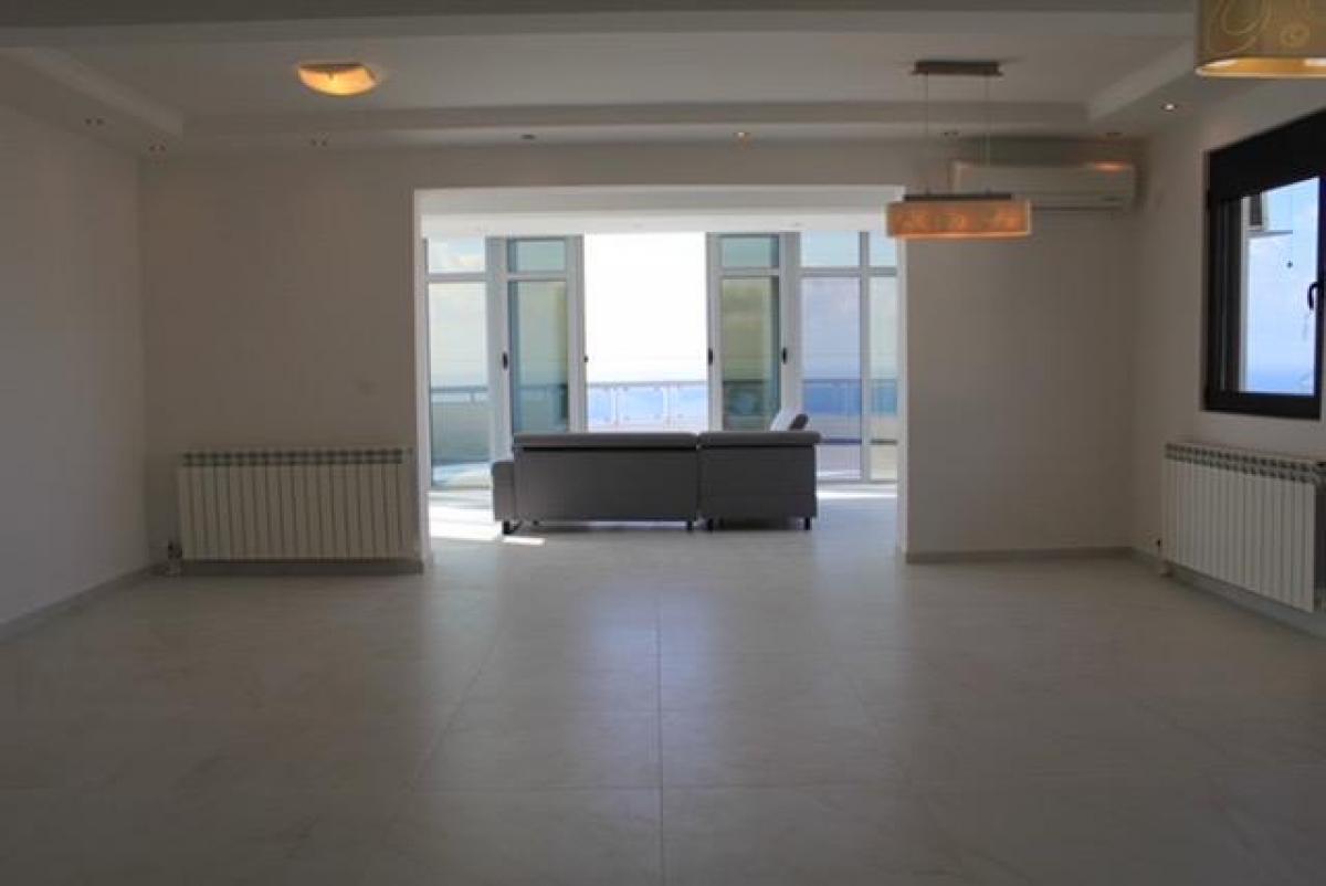 Gallery image 13