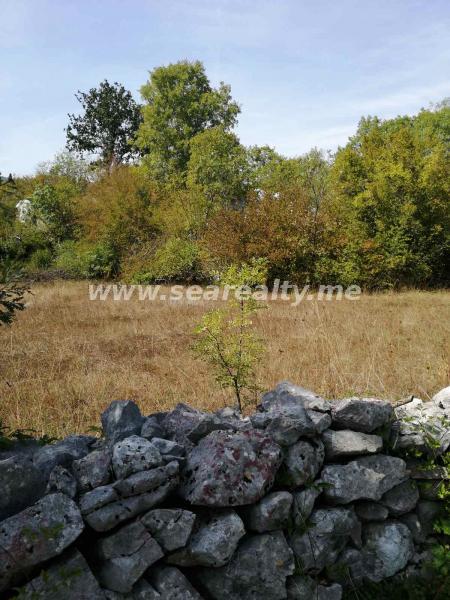Gallery image 11