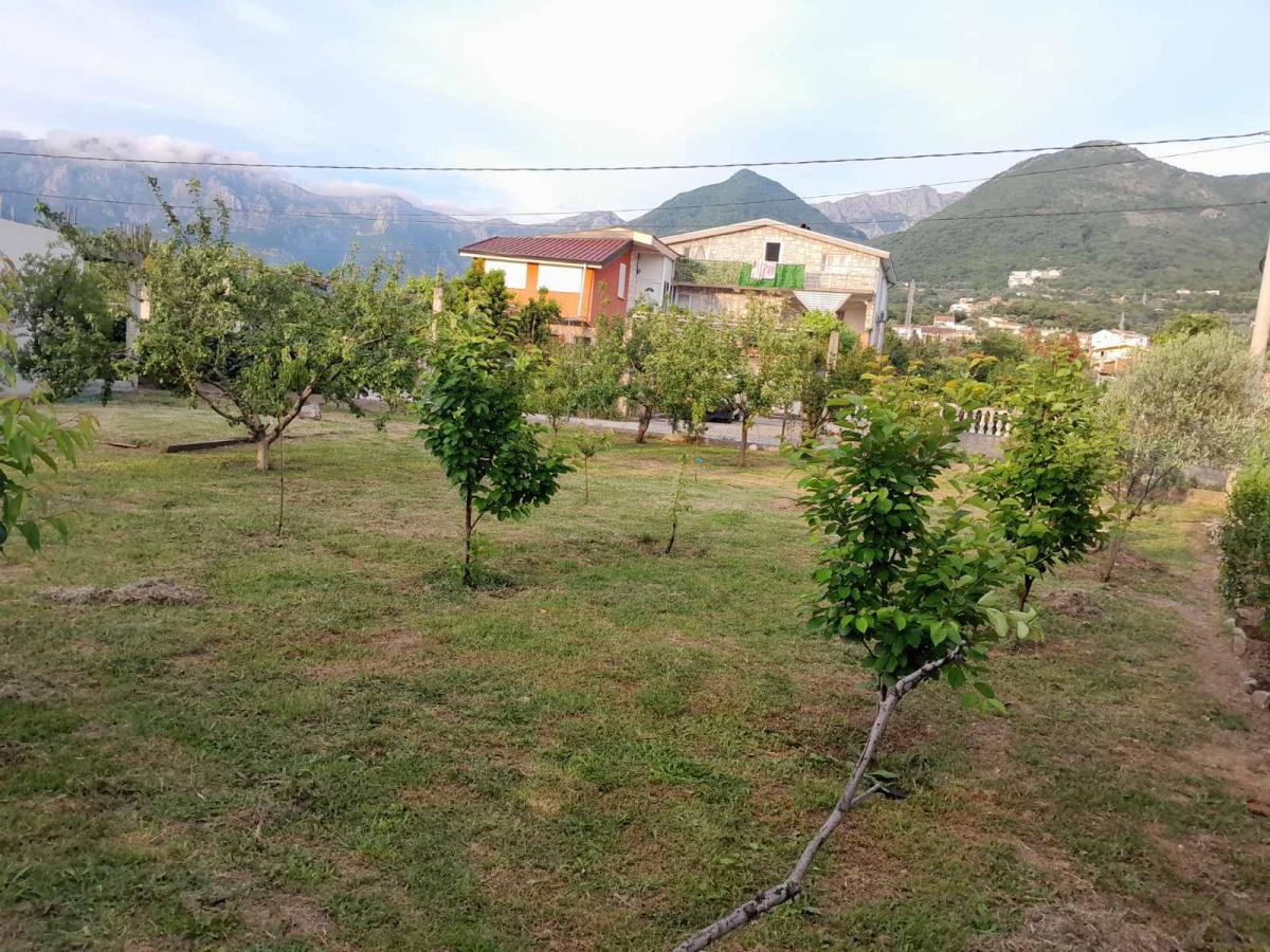 Gallery image 13