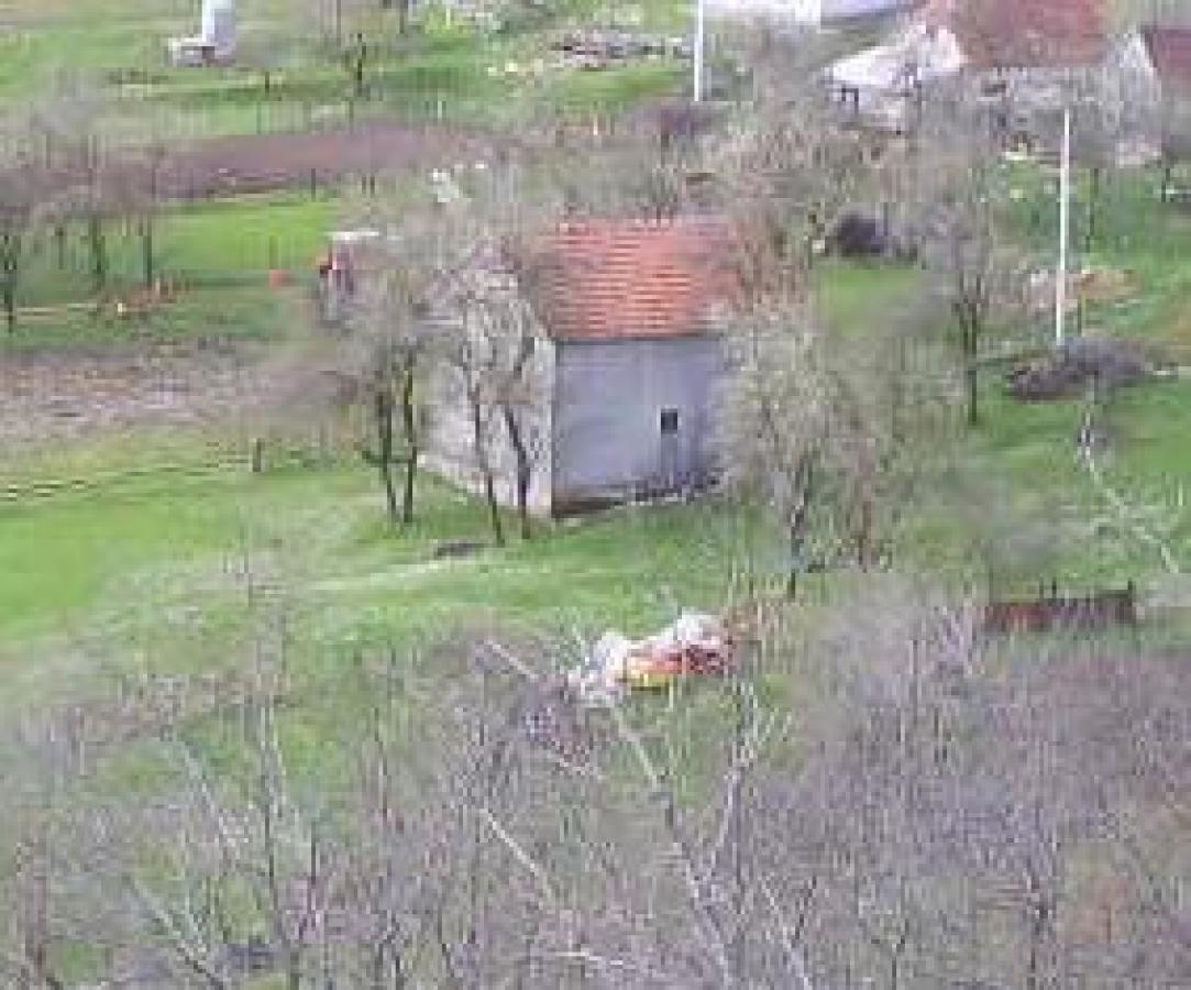 Gallery image 4