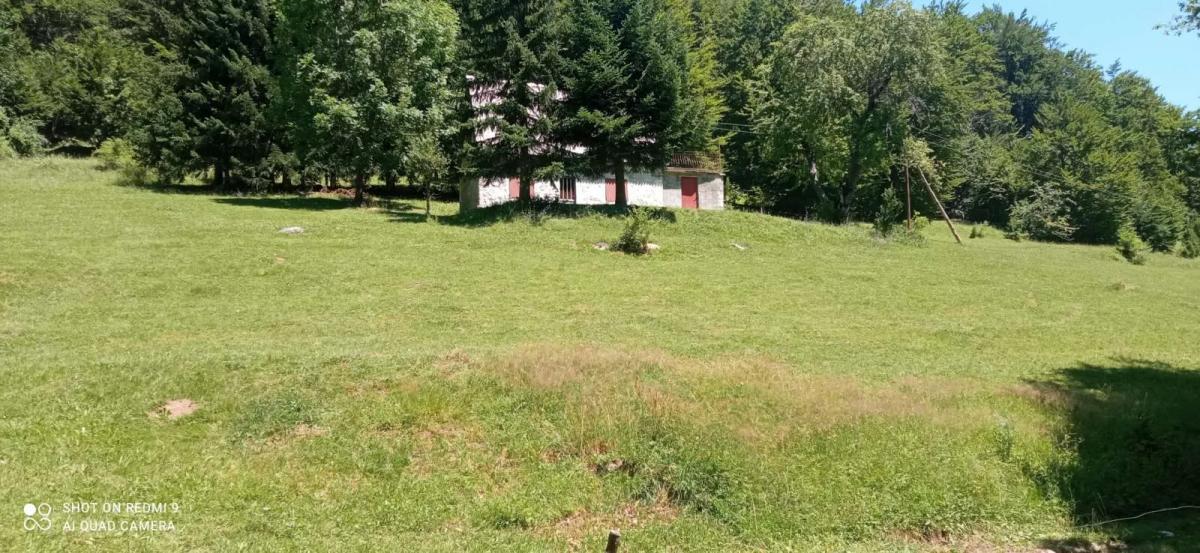 Gallery image 15