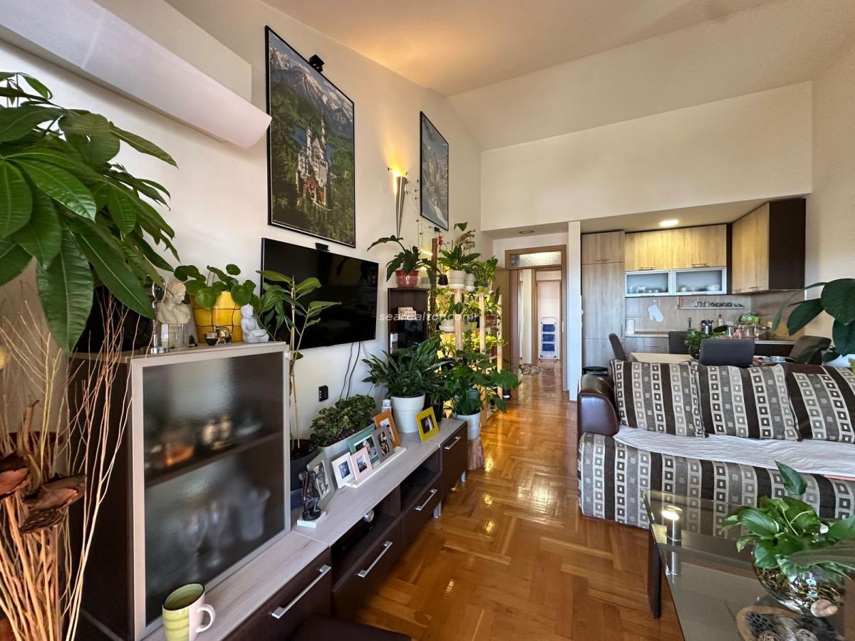 Gallery image 8