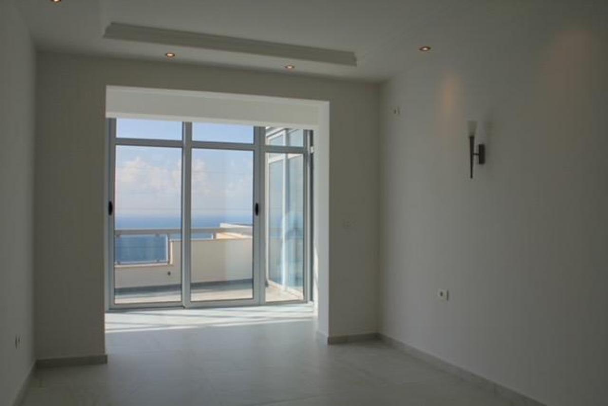 Gallery image 12
