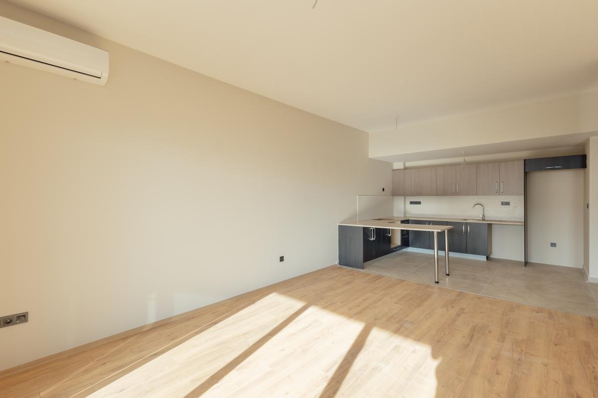 Gallery image 13